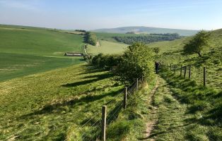 The South Downs