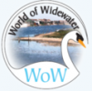 wowlogo